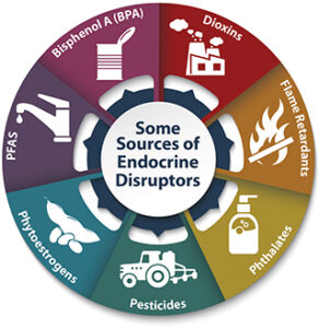 endocrine_disruptor_sources