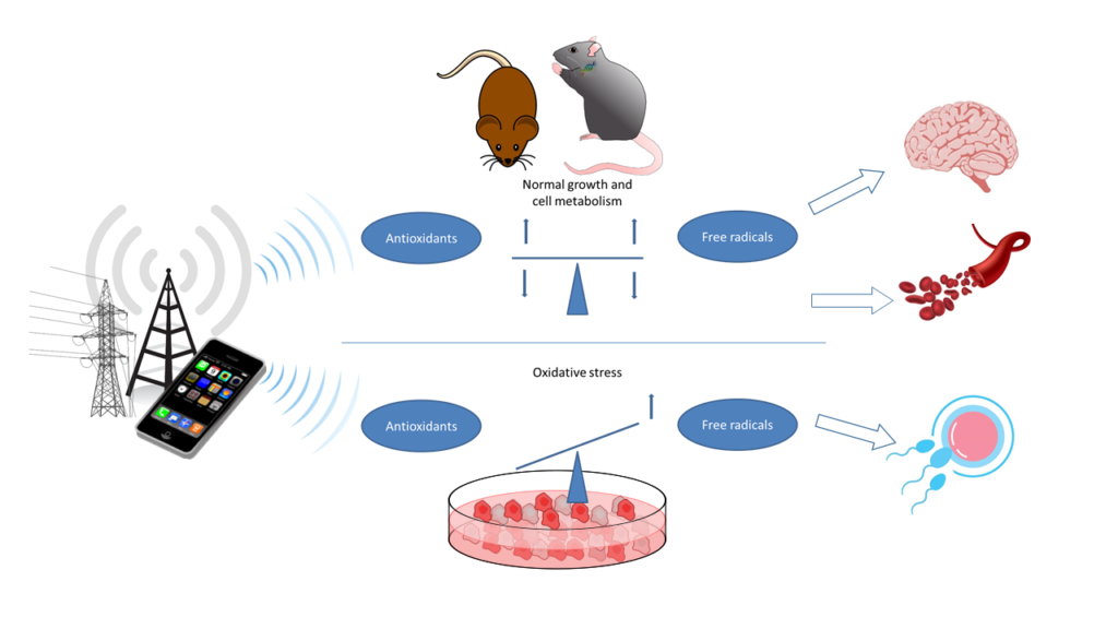 emf-oxidative-stress