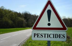 Neonics-pesticides-environmental-threat-minnesota-bees