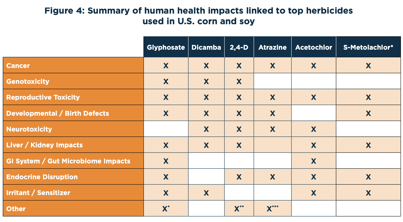 health-effects-herbicides-pesticides