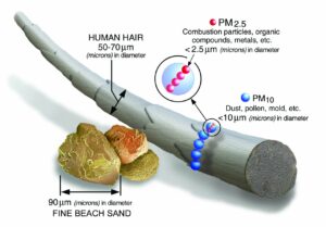 pm2.5_scale